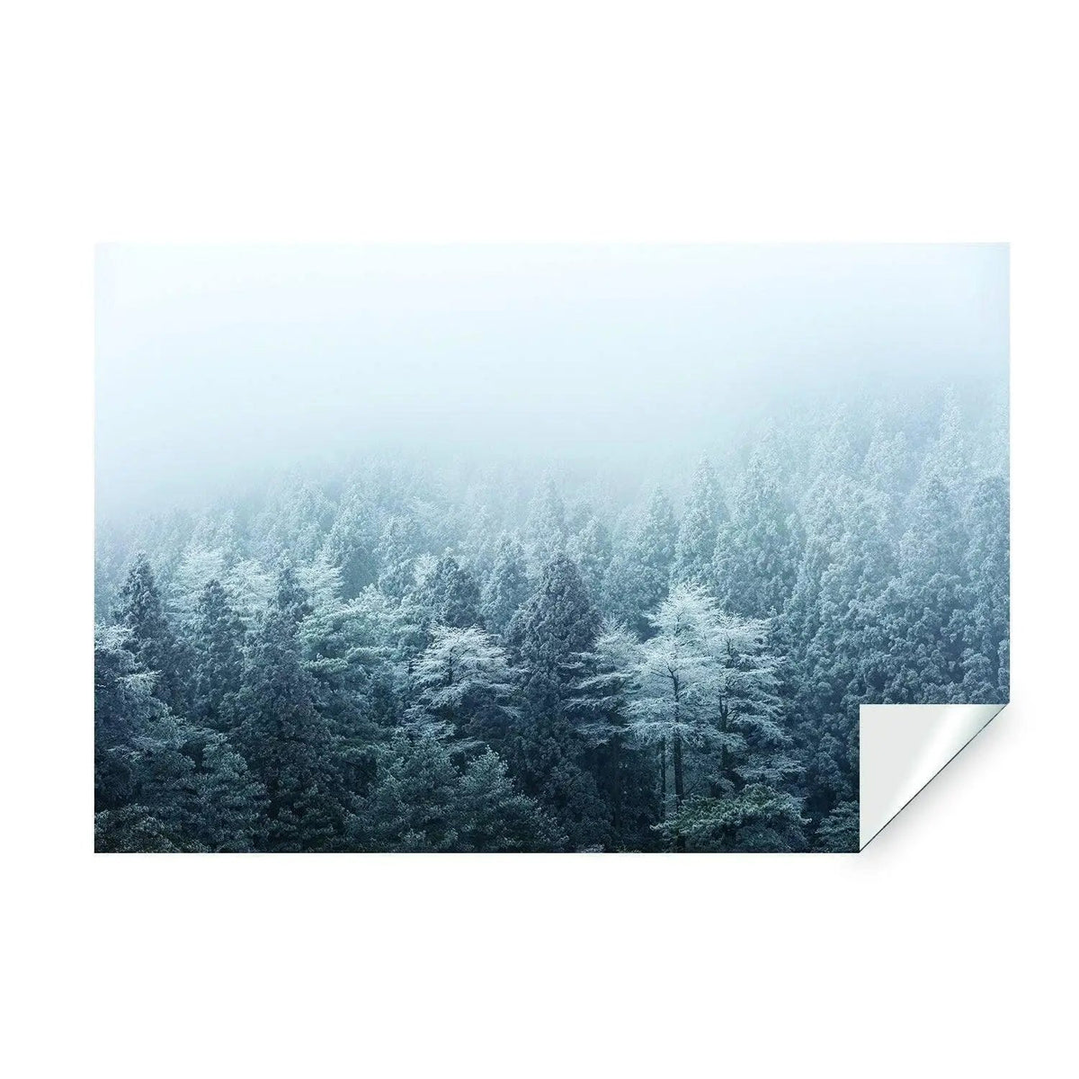 Misty pine hill wallpaper mural featuring serene foggy forest landscape for tranquil home decor.