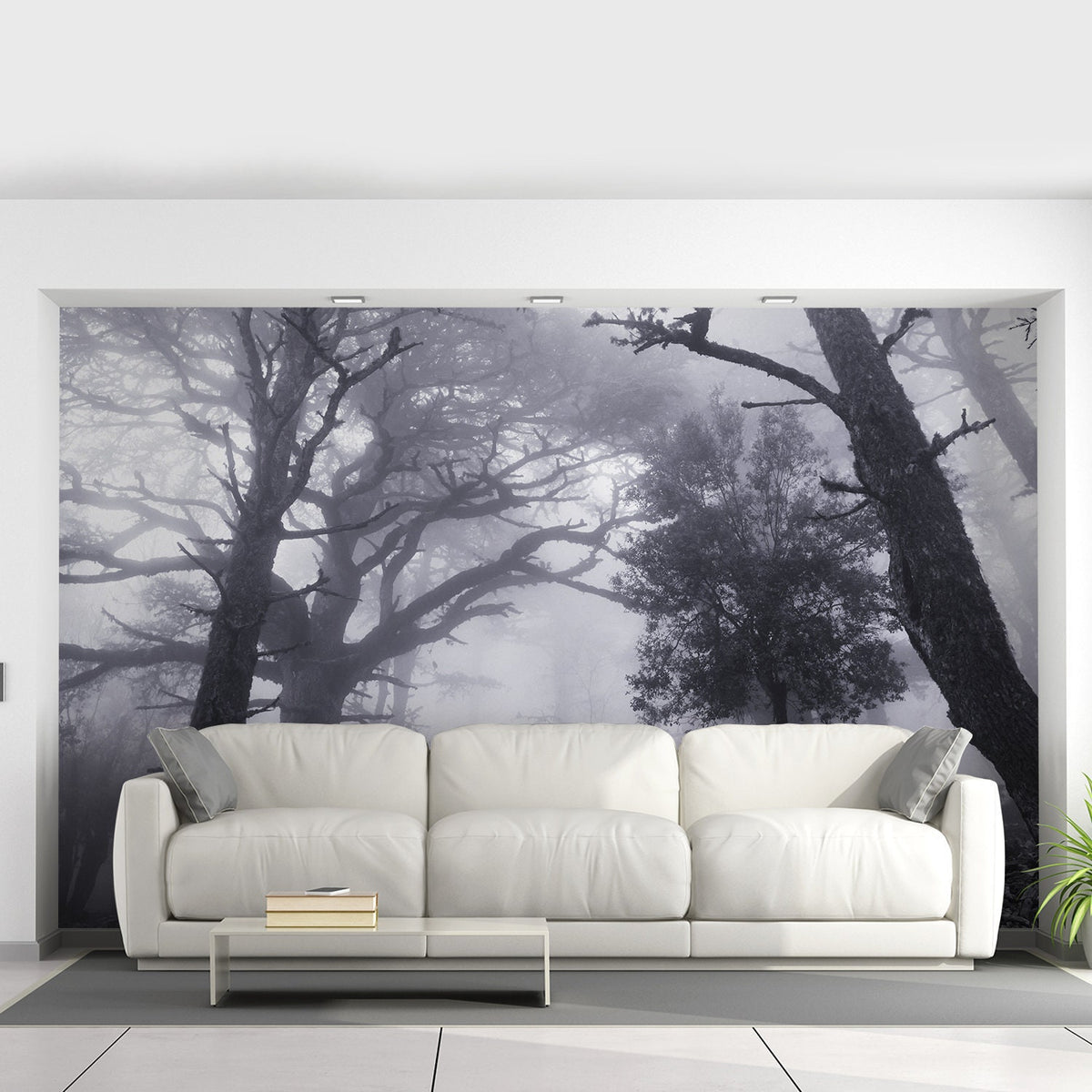 Product detail view of Foggy Forest Wallpaper Decal.