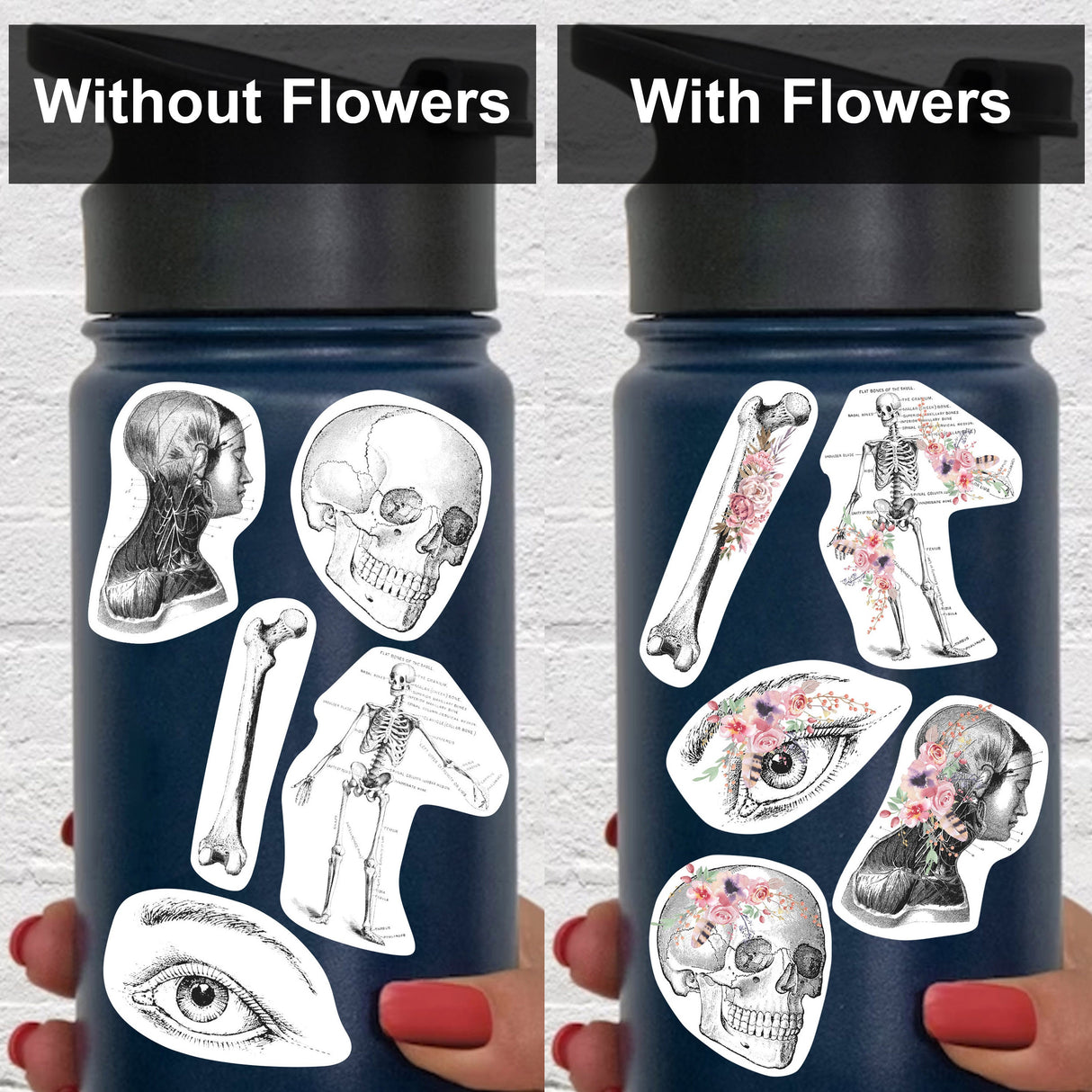 Alternate product view of Anatomy Stickers for Hydroflask.