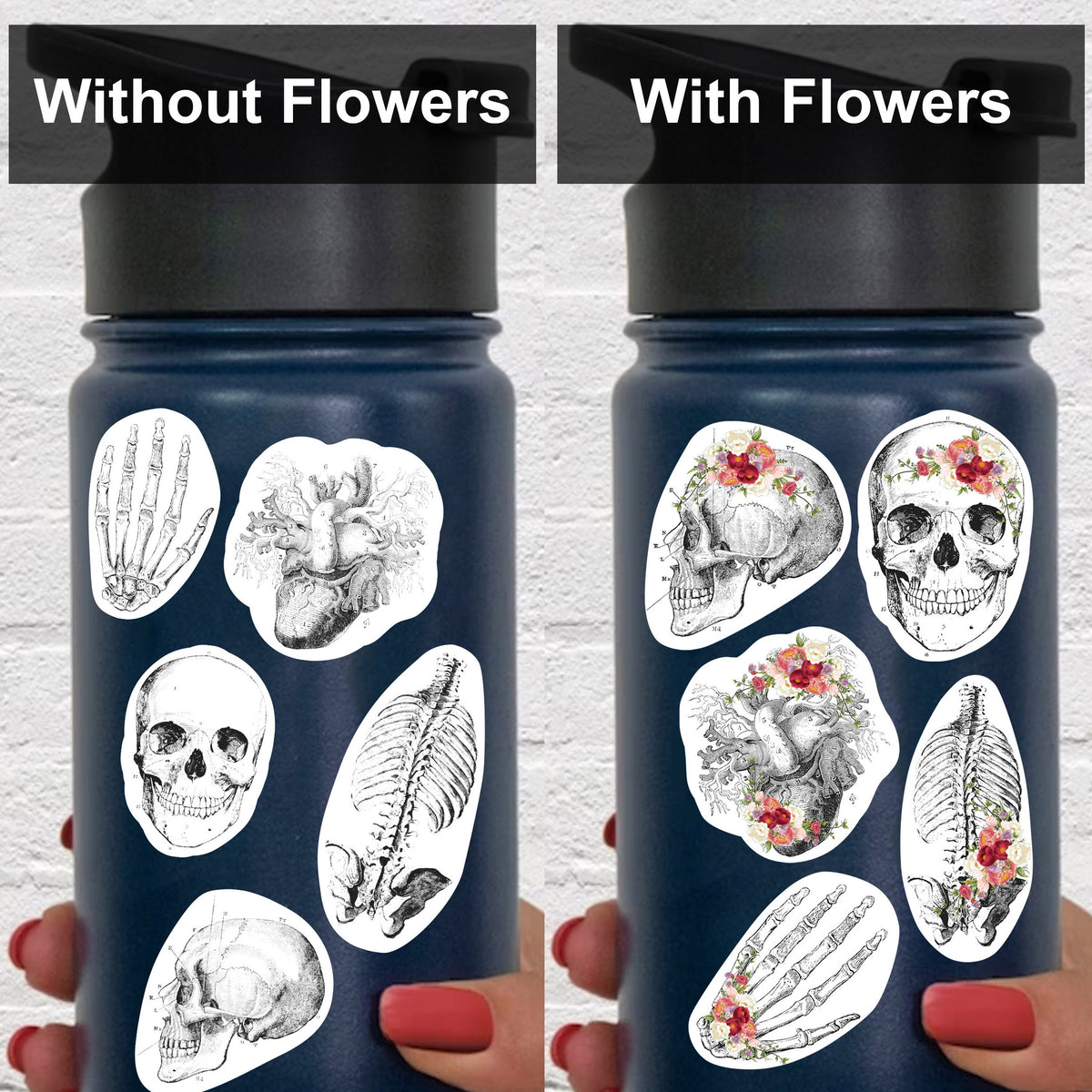 Anatomy Skeleton Decals - Medical School Decor.