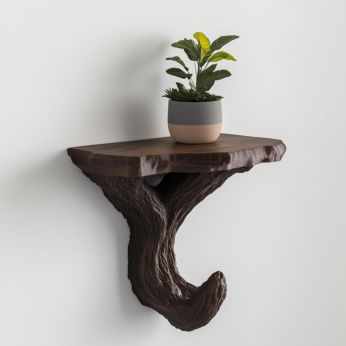 Product detail view of 3D Printed Black Branch Wall Shelf.