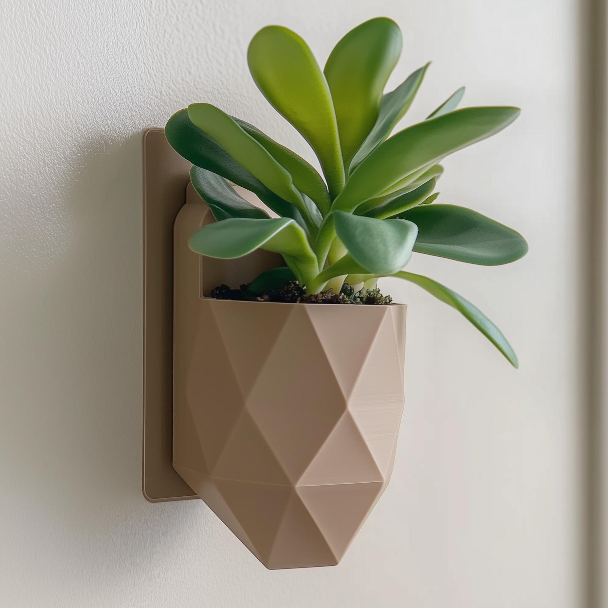 Product presentation view of 3D Printed Geometric Wall Planter.