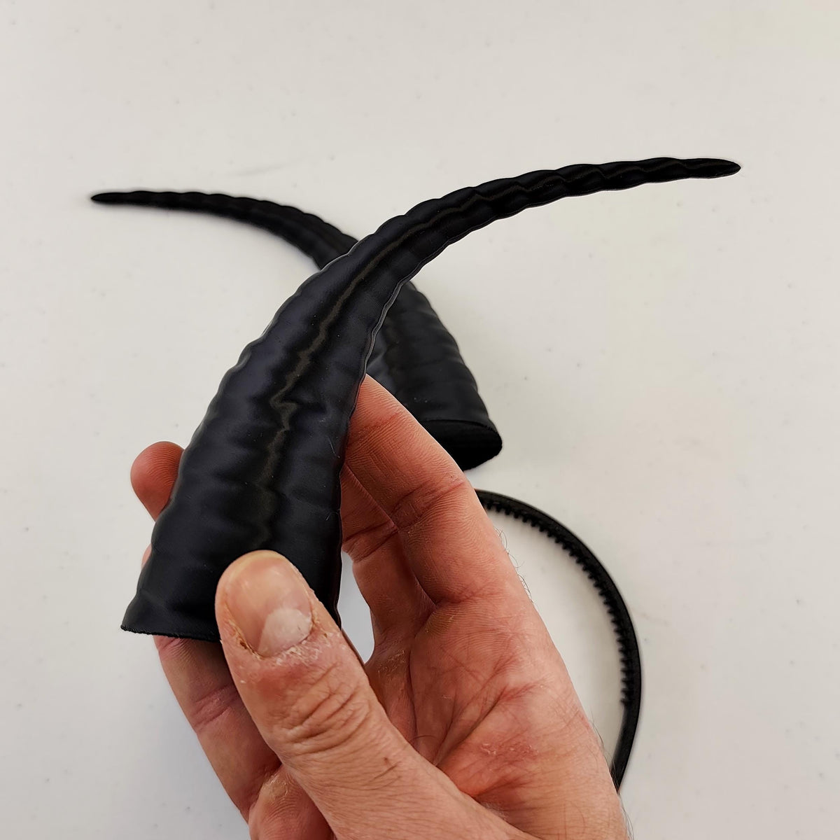 Available colour presentation for the curved fantasy horns.