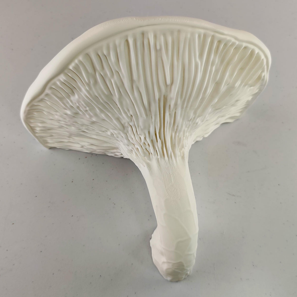 Product detail view of 3D Printed Organic Mushroom Wall Shelf.