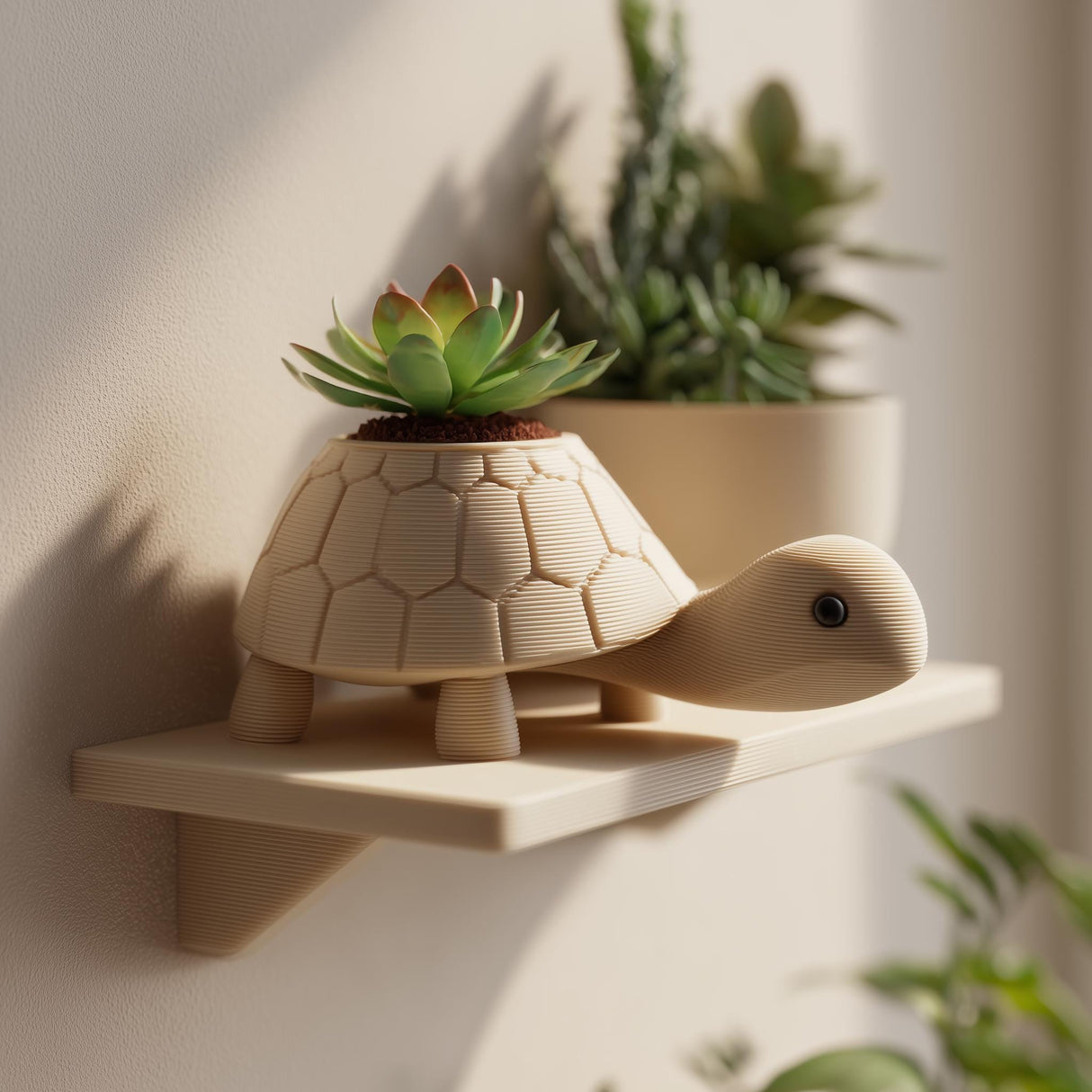 3D printed turtle-shaped planter standing on a small floating shelf, holding a succulent.