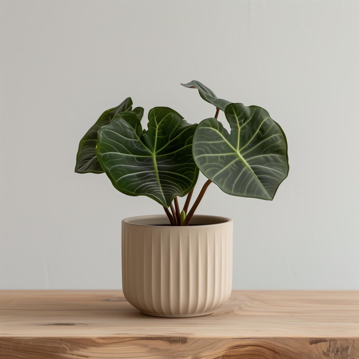 Beige cylindrical 3D printed planter with vertical ribbed grooves.