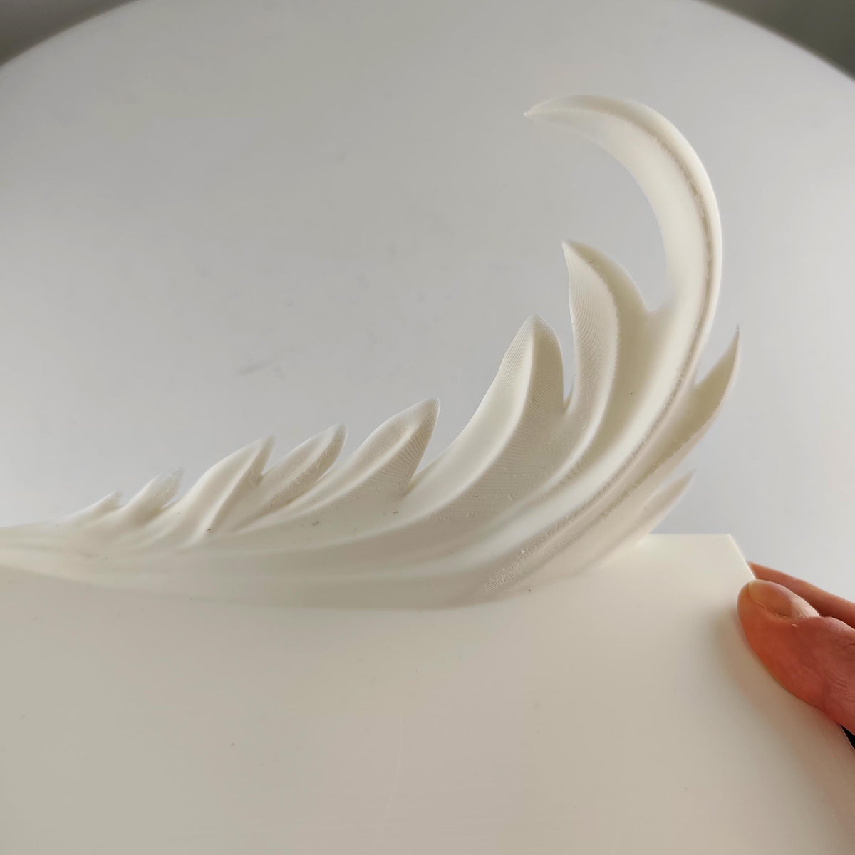 Product presentation view of 3D Printed Feather Wall Shelf.