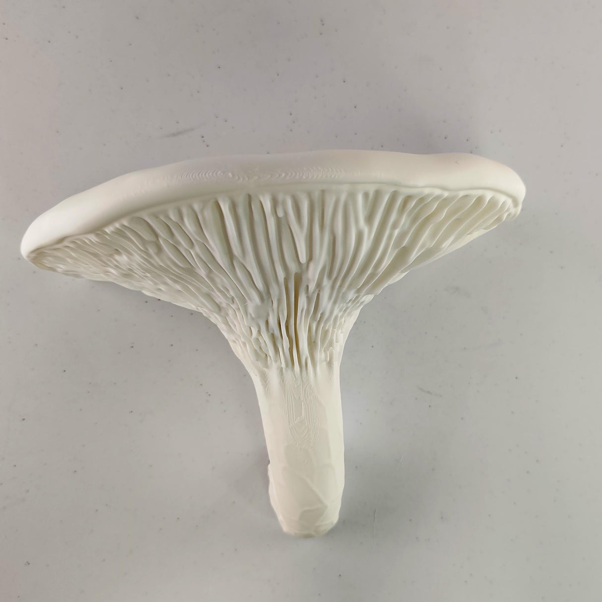 Additional product detail of 3D Printed Organic Mushroom Wall Shelf.