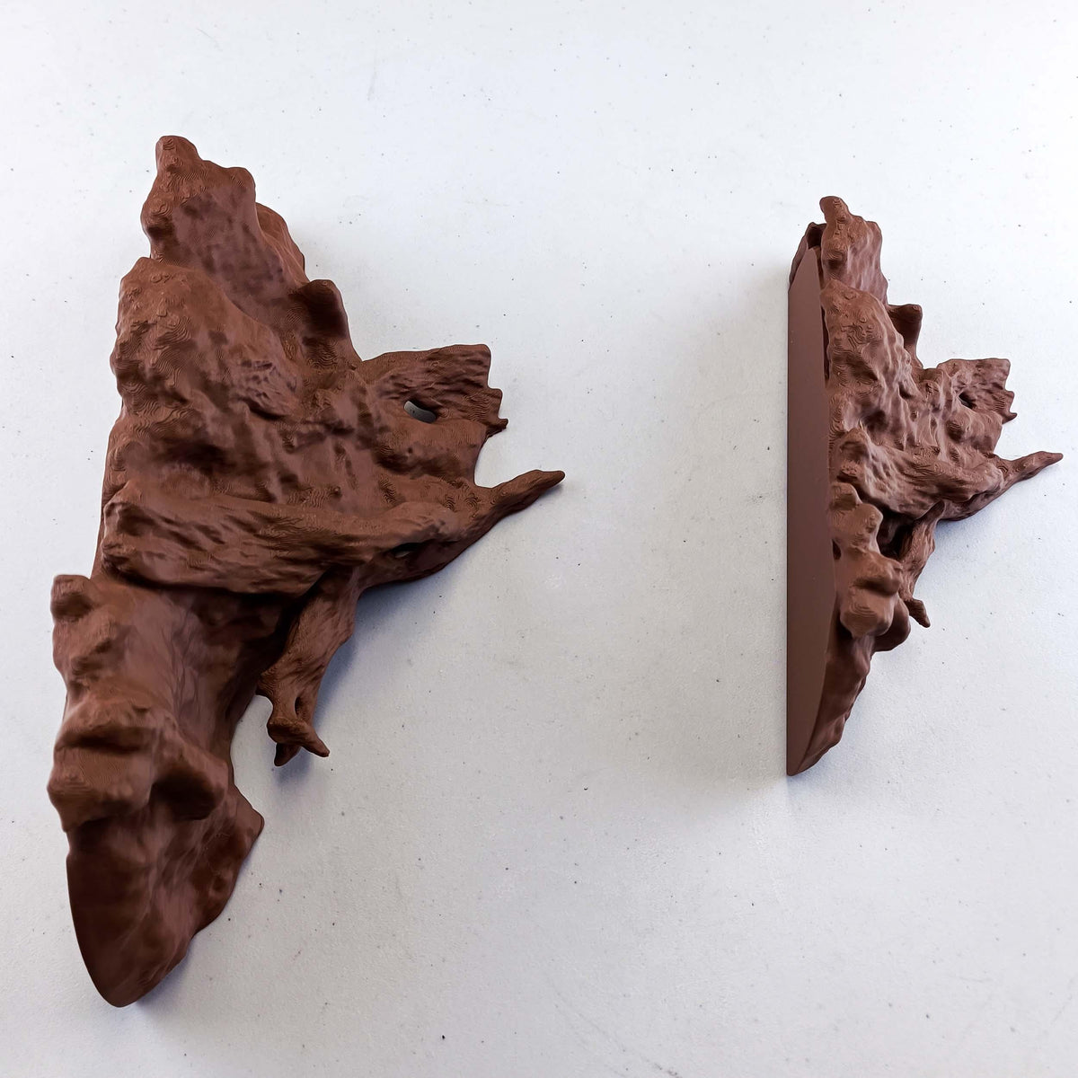 Product detail view of 3D Printed Tree Root Shelf.