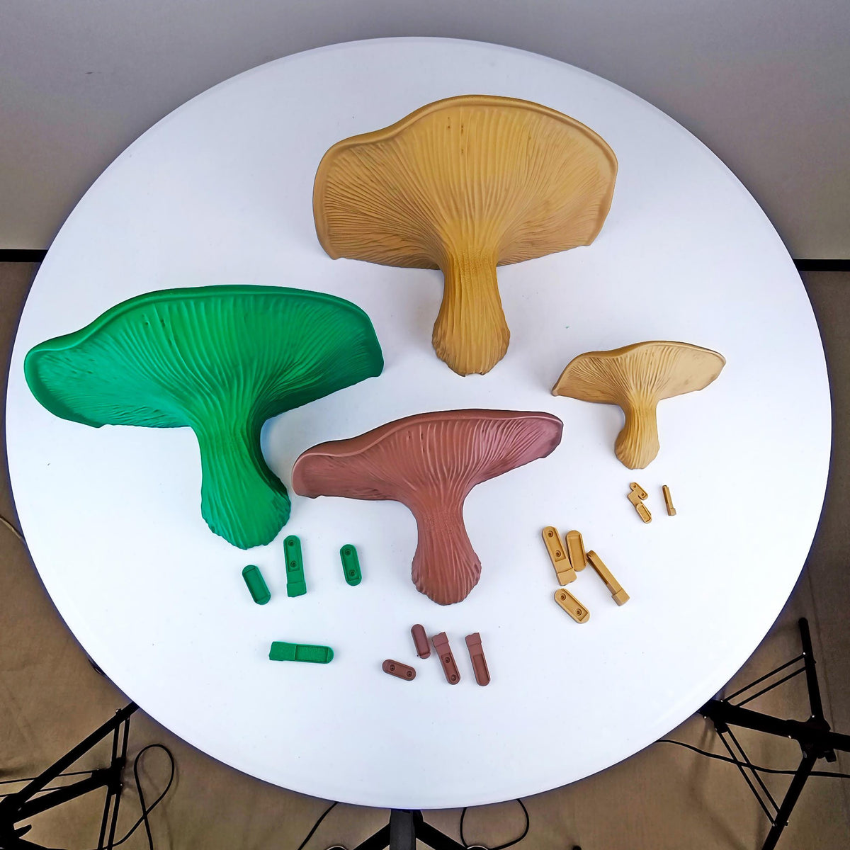Product presentation view of 3D Printed Fungi Wall Shelf.