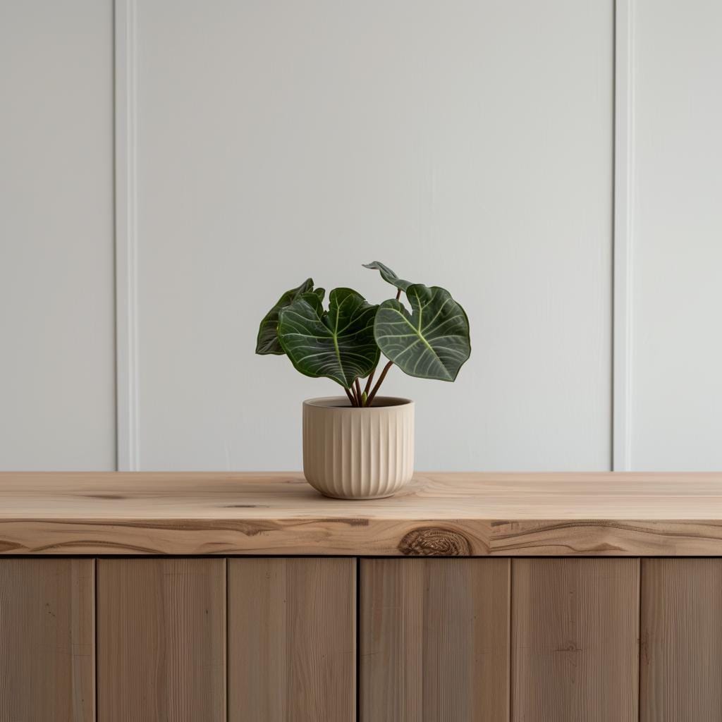 3D Printed Ribbed Indoor Planter shown in the product image.