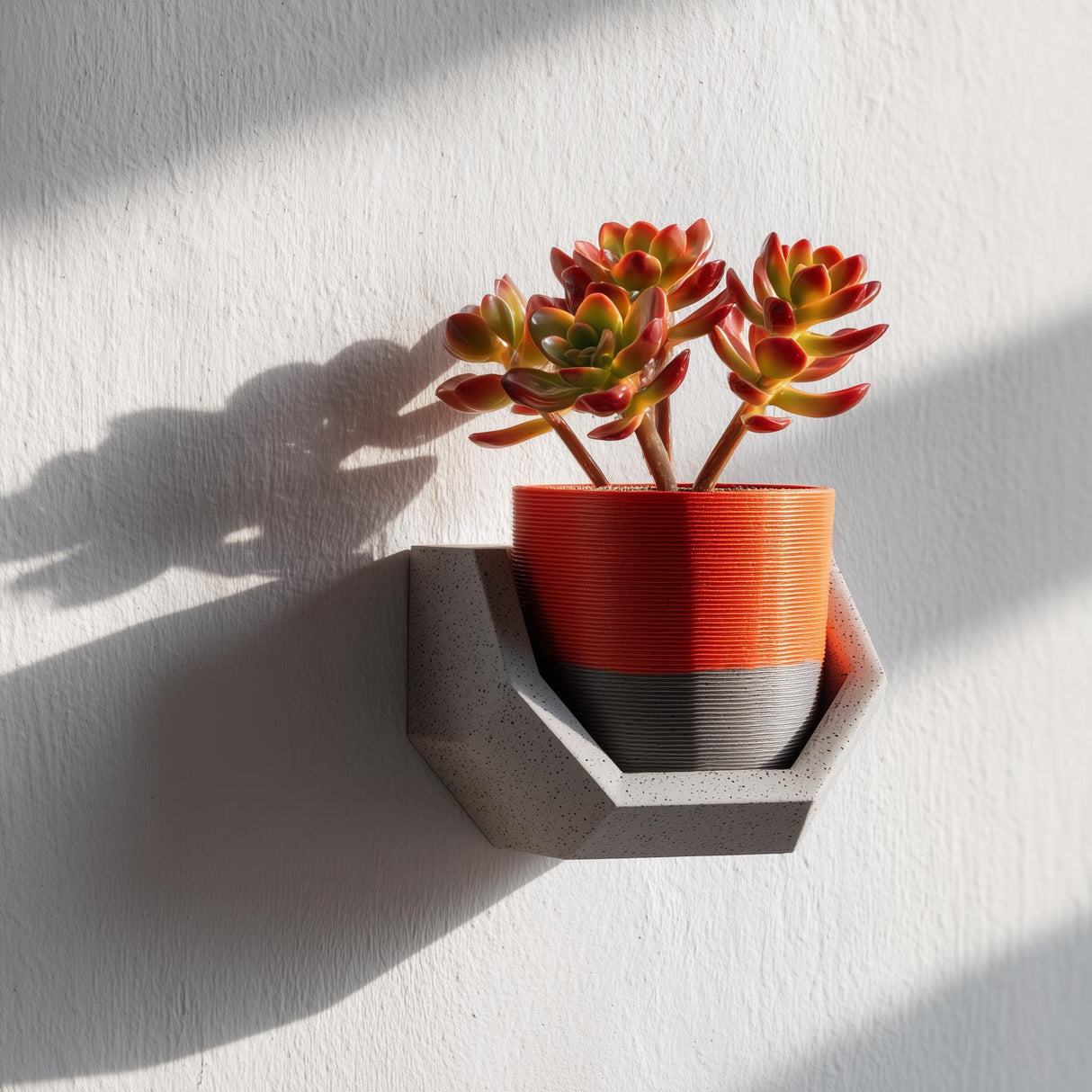 3D printed geometric wall shelf holder in gray, holding a red and black plant pot with succulents.