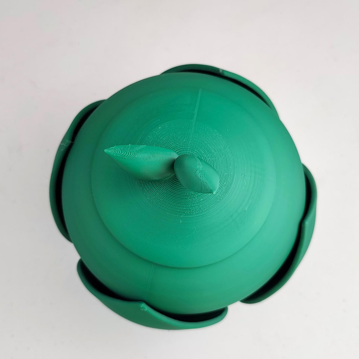 Additional product presentation of Botanical Pet Memorial Urn.
