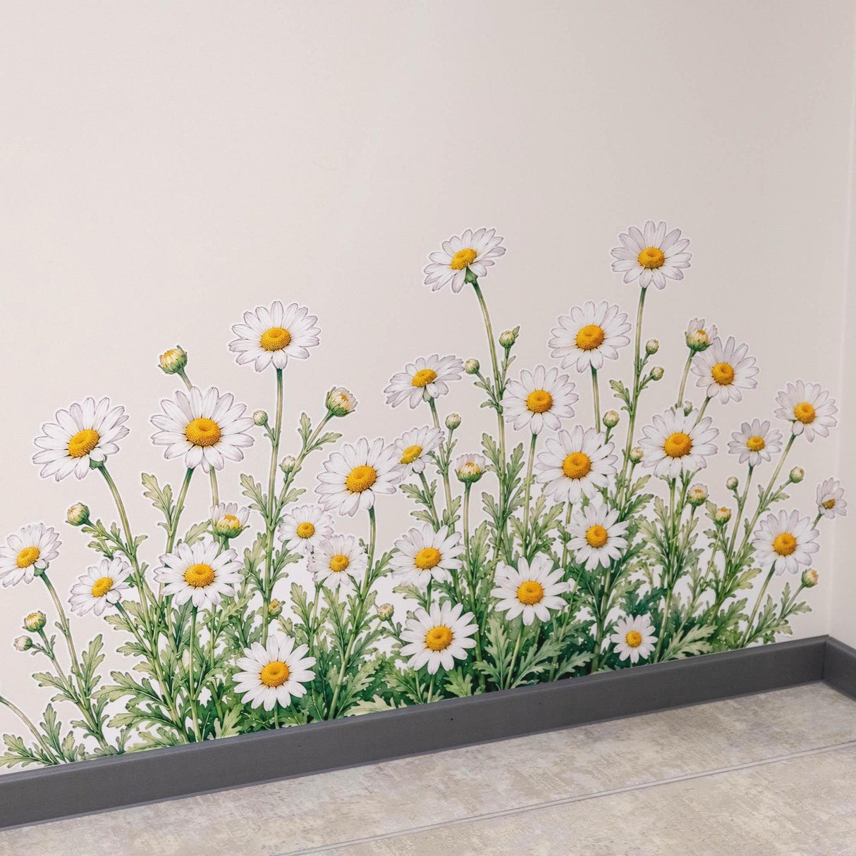 Chamomile Daisies Wall Vinyl Decal displayed in a room setting.