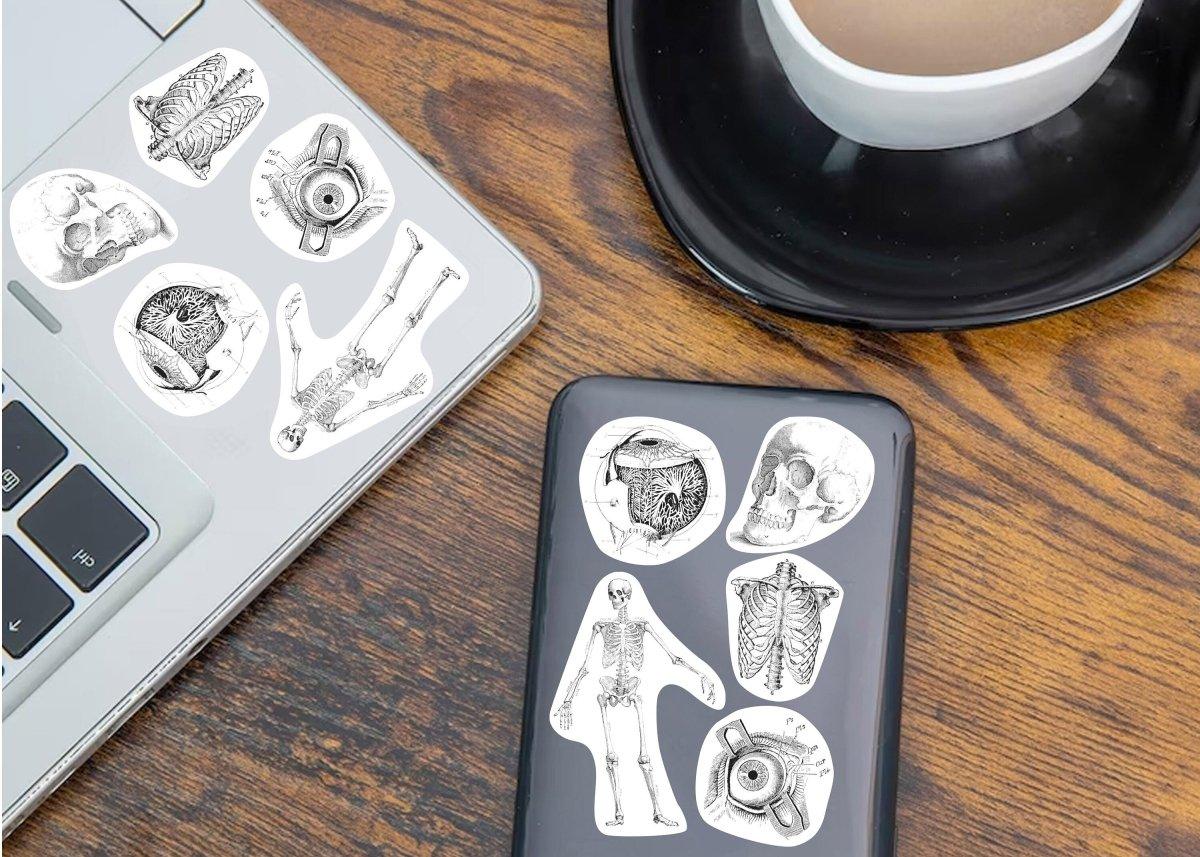Anatomy stickers on a laptop and phone, featuring detailed human body designs.
