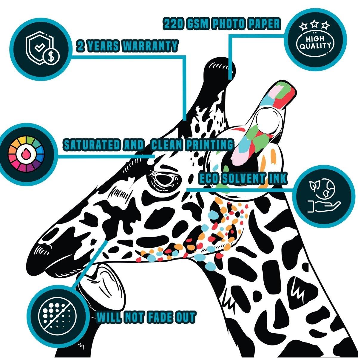 Product information graphic
