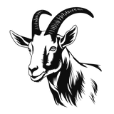 Graceful goat illustration highlighting its tranquil features and elegant horns.