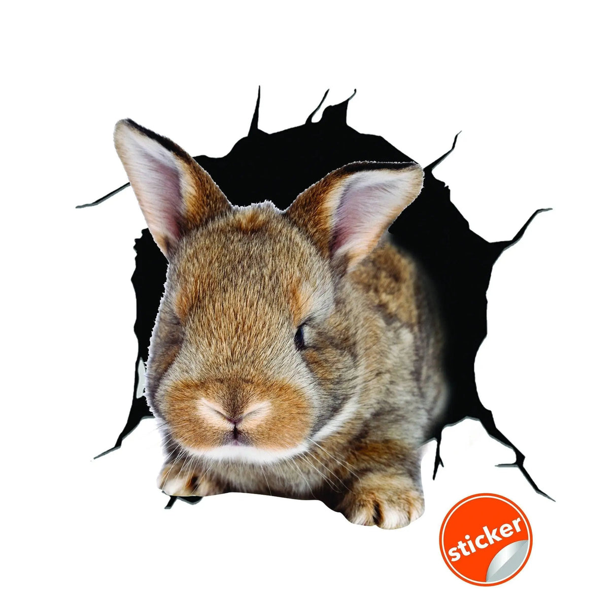 3D rabbit wall sticker emerging from a wall.