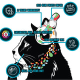 Product information graphic