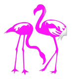 Pink flamingo wall decal featuring two tropical birds.