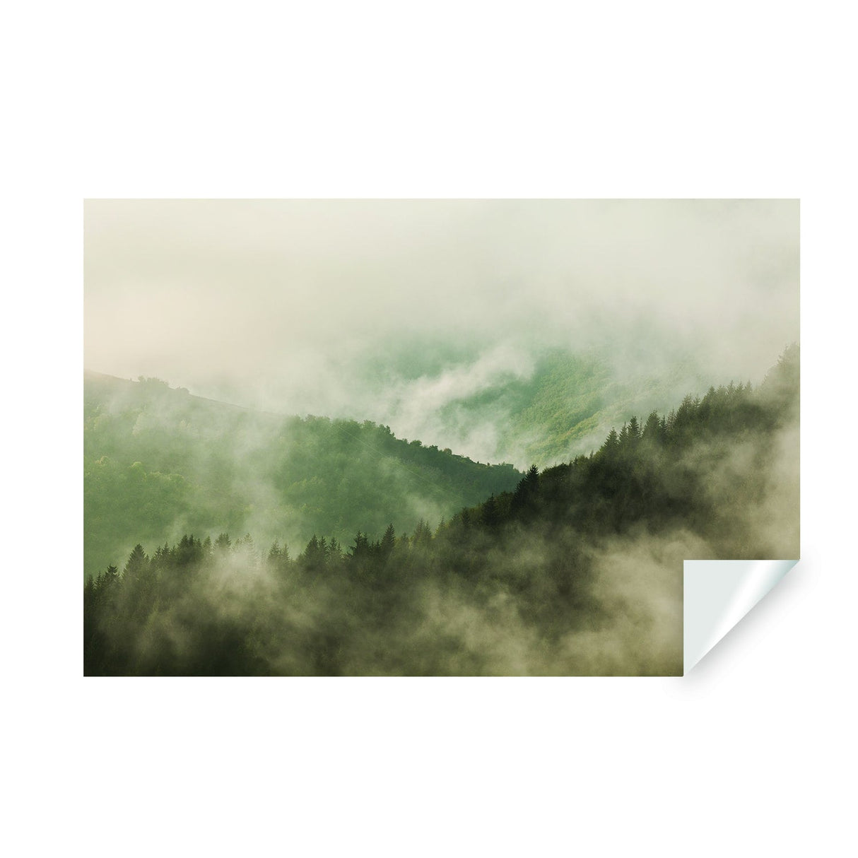 Foggy Forest Wallpaper Sticker Mural - Mountain Tree Fog Removable Wall Paper Art Decal.