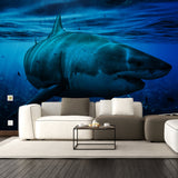 Additional product view of Ocean Shark Wallpaper Art Decal.