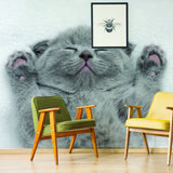 Alternate gallery view of Cat Wallpaper Vinyl Decal Decor.