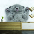 Cat Wallpaper Vinyl Decal Decor - Home Bedroom Peel And Stick Removable Gray Kitten Art Wall Sticker