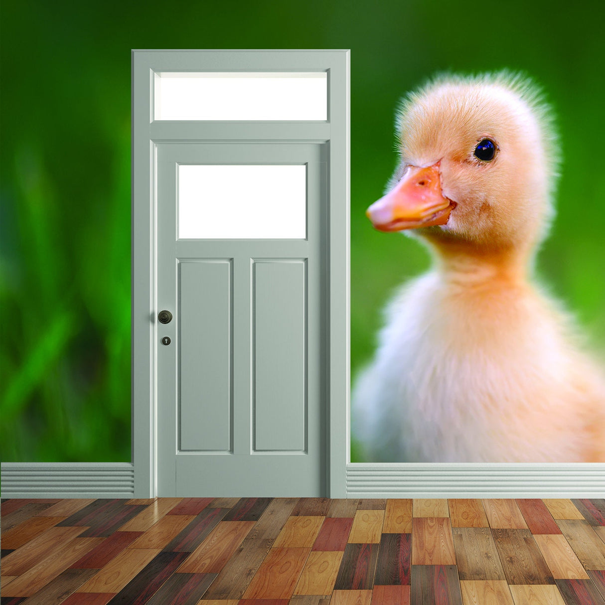Product presentation view of Duck Wallpaper Vinyl Decal Decor.