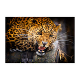 Jaguar Wallpaper Vinyl Decal Decor - Home Bedroom Peel And Stick Removable Art Wall Paper Sticker.