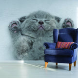 Additional product view of Cat Wallpaper Vinyl Decal Decor.