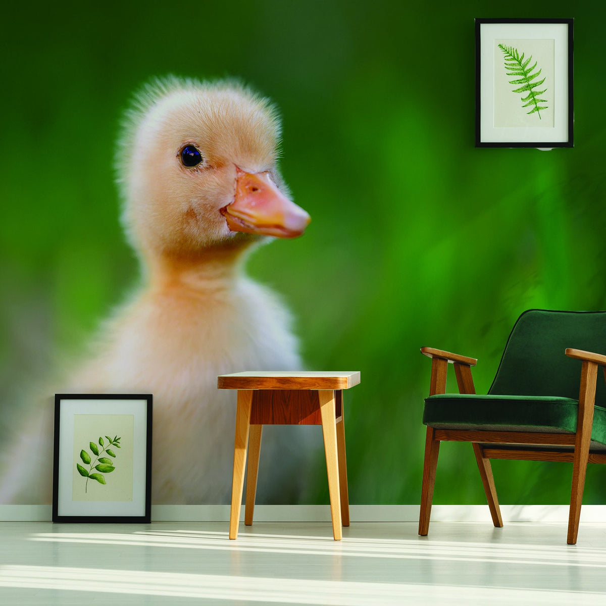 Additional product view of Duck Wallpaper Vinyl Decal Decor.