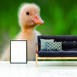Duck Wallpaper Vinyl Decal Decor - Home Bedroom Peel And Stick Removable Art Wall Paper Sticker