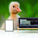 Duck Wallpaper Vinyl Decal Decor - Home Bedroom Peel And Stick Removable Art Wall Paper Sticker