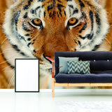 Additional product detail of Tiger Wallpaper Stick And Peel Decal.