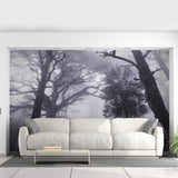 Alternate product presentation of Foggy Forest Wallpaper Decal.