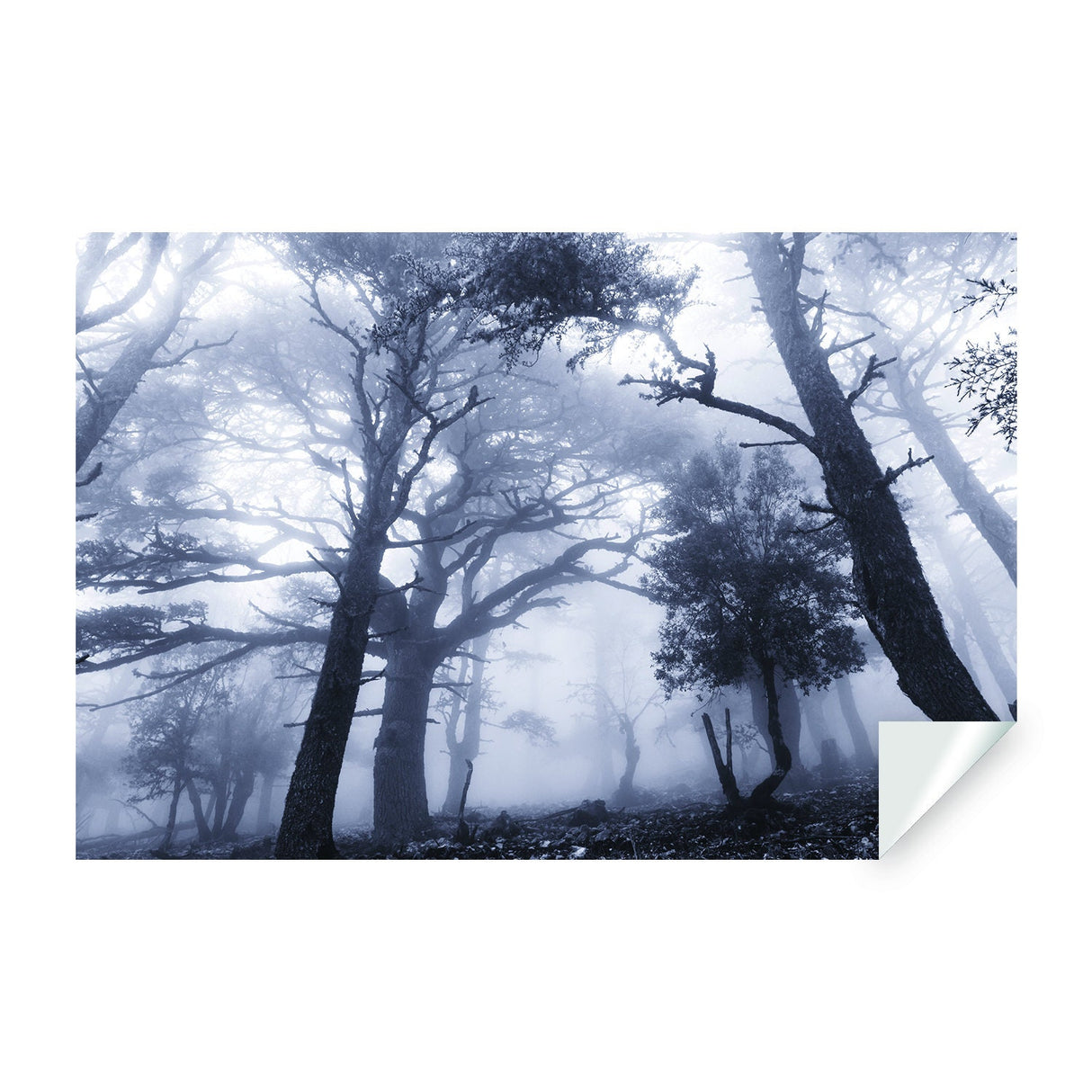 Foggy Forest Wallpaper Decal - Landscape Tree Wall Paper Mural Self Peel And Stick Sticker.
