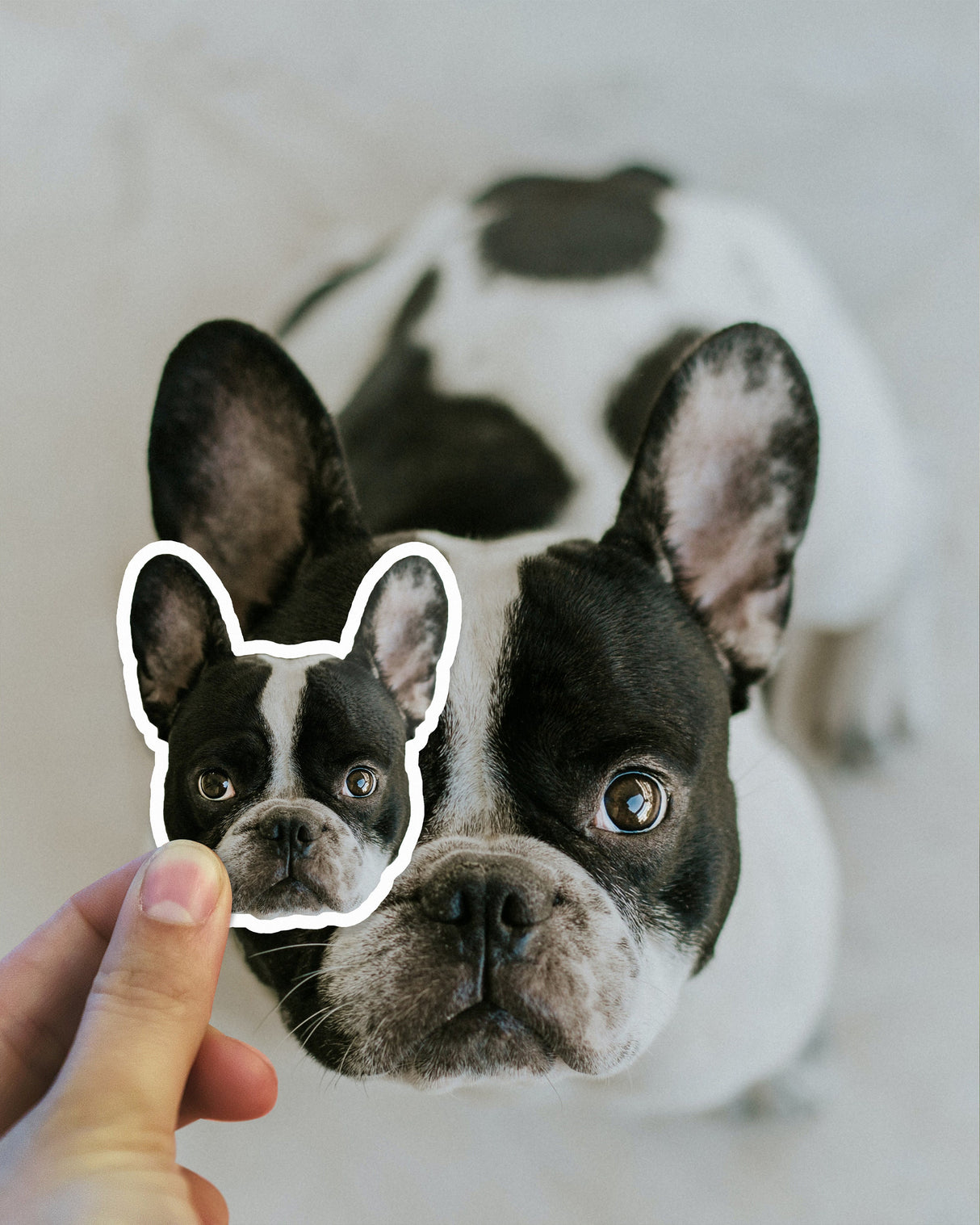Product gallery view of Custom Die Cut Vinyl Stickers.