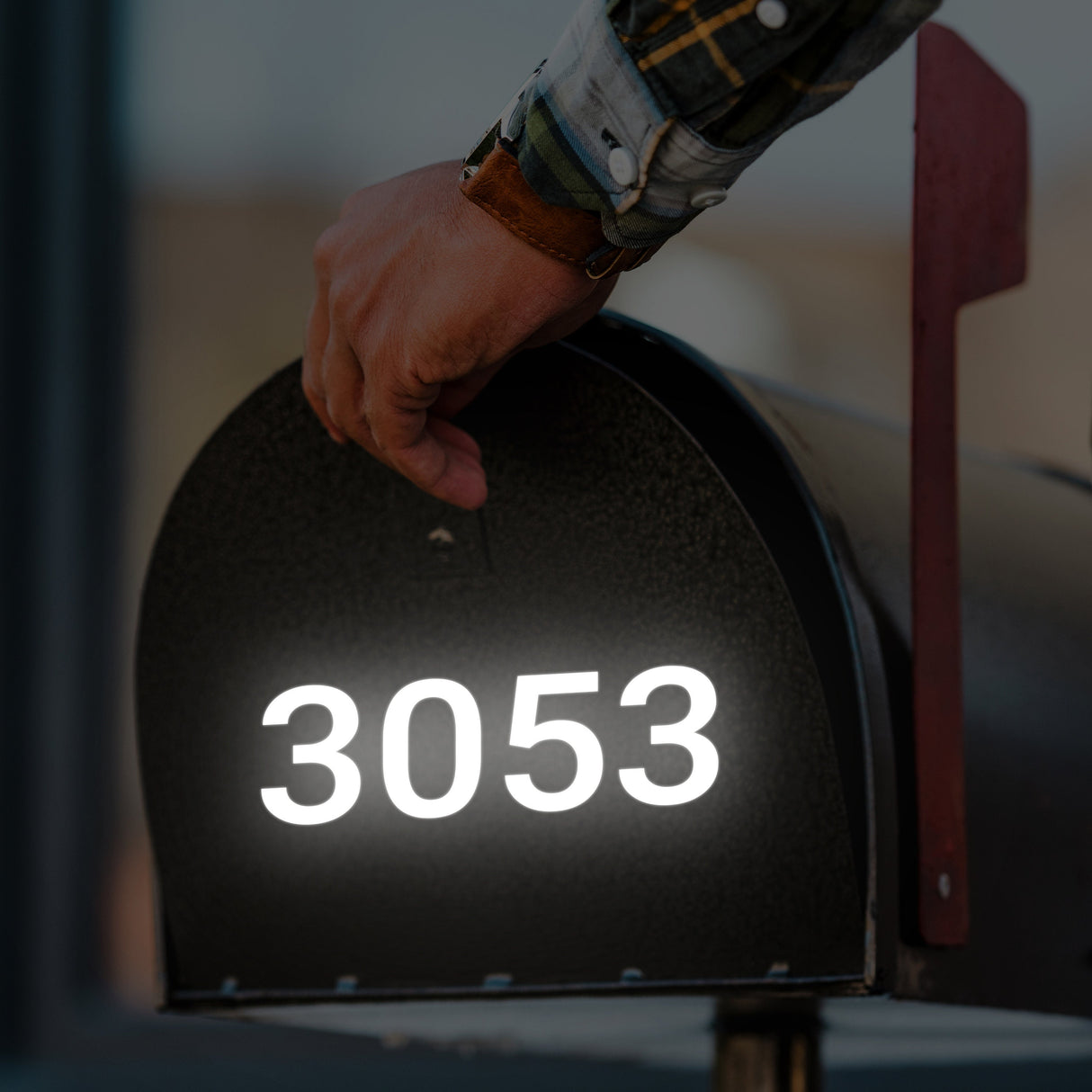 Product detail view of Personalized Reflective Mailbox Decal.