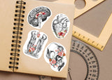 Anatomy Stickers for Hydroflask - Anatomical Decals for Science Lovers and Medical Students.