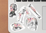 Product gallery view of Anatomy Stickers for Hydroflask.