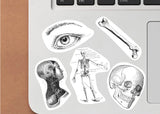 Additional product view of Anatomy Stickers for Hydroflask.