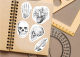 Product gallery view of Anatomy Skeleton Decals.