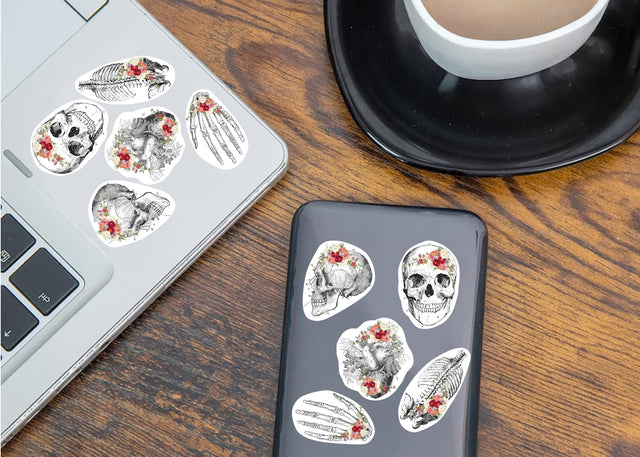 Anatomy Skeleton Decals - Medical School Decor