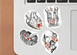 Anatomy Stickers - Human Anatomy Illustration