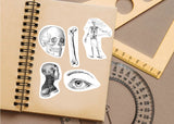 Anatomy Stickers for Hydroflask - Anatomical Decals Gift for Doctors and Medical Students.