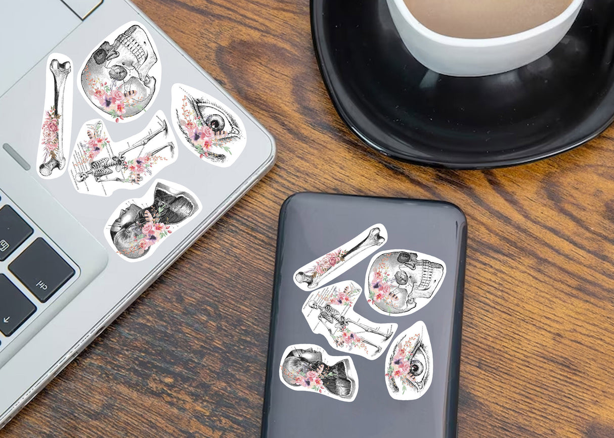 Additional product detail of Anatomy Stickers for Hydroflask.