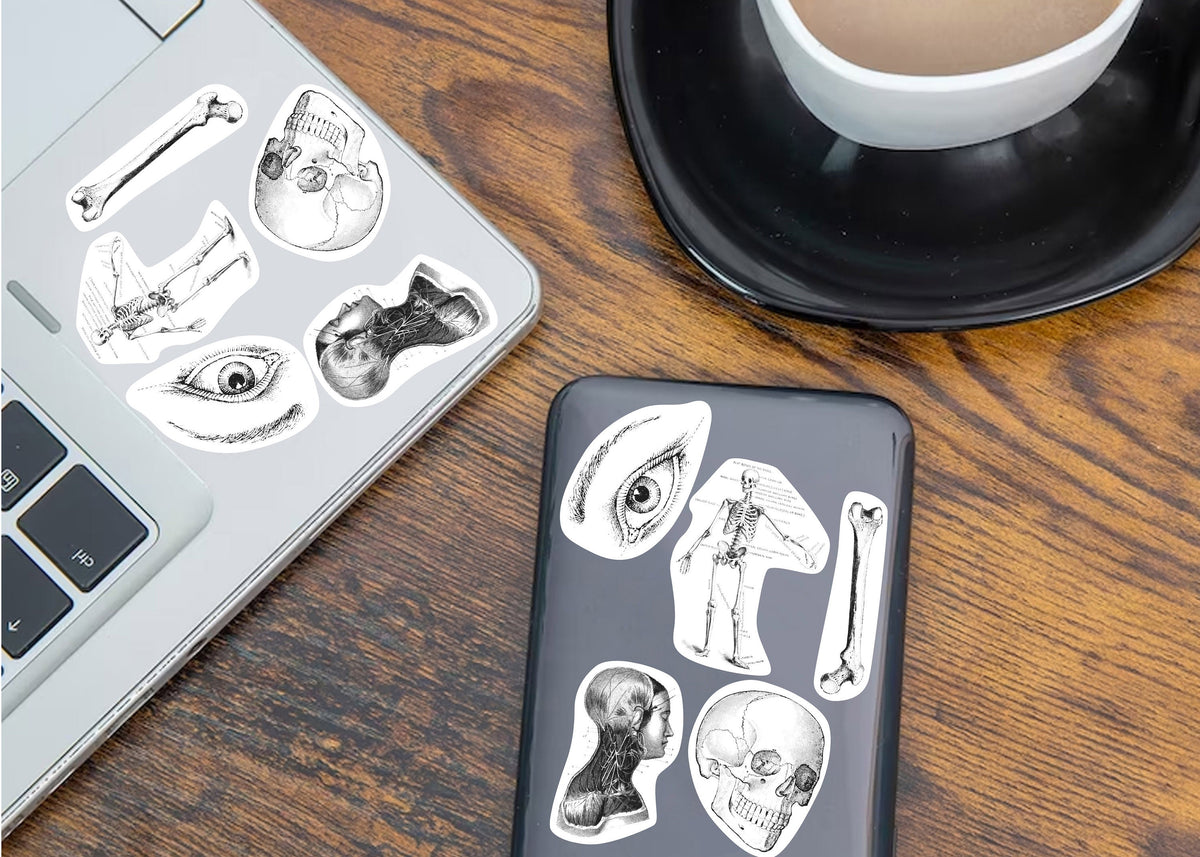 Product detail view of Anatomy Stickers for Hydroflask.