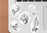 Additional product detail of Anatomy Skeleton Decals.