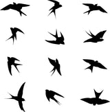 24x Anti-Collision Window Bird Stickers Decals - Protect Birds from Window Collisions.